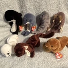Ty Beanie Babies Jolly Echo Slippery Paul Seamore Runner Plush Lot 2000 Vintage