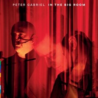 Audio Cd - Peter Gabriel - In The Big Room - Real World Records -D- Neu