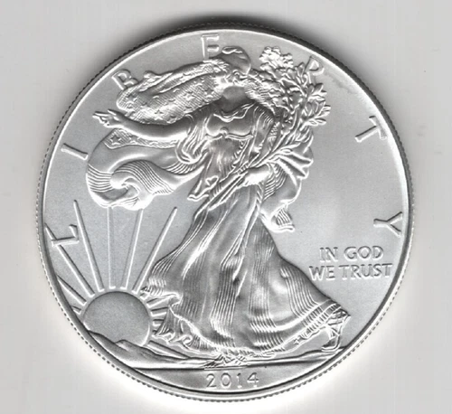 2014 WALKING LIBERTY AMERICAN EAGLE .999 FINE SILVER DOLLAR COIN 1oz. $1 USA