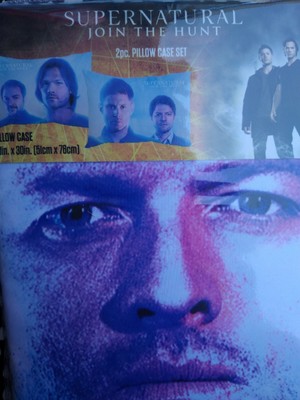 sam and dean pillowcase