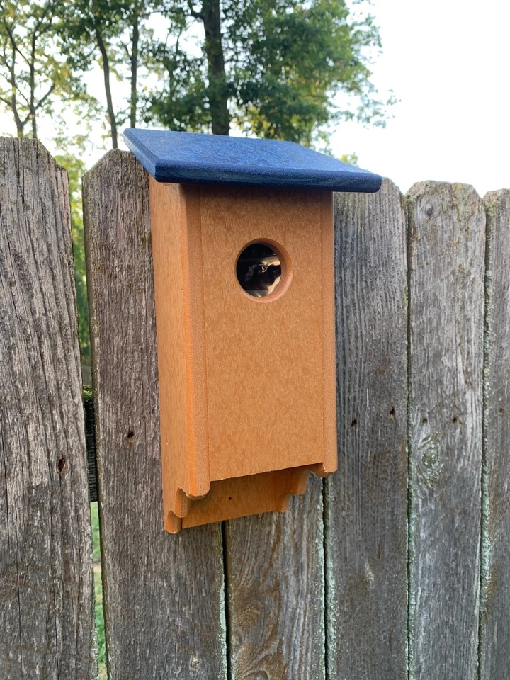 Blue Bird Bird House, Birdhouse, Bluebird, Birdhouse hecha por Amish, Poly Birdhouse, Foto 3 de 4