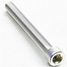 PRO-BOLT Vite in Ergal ARGENTO Testa Cilindrica M6x55 mm TRIPLA ANODIZZAZIONE
