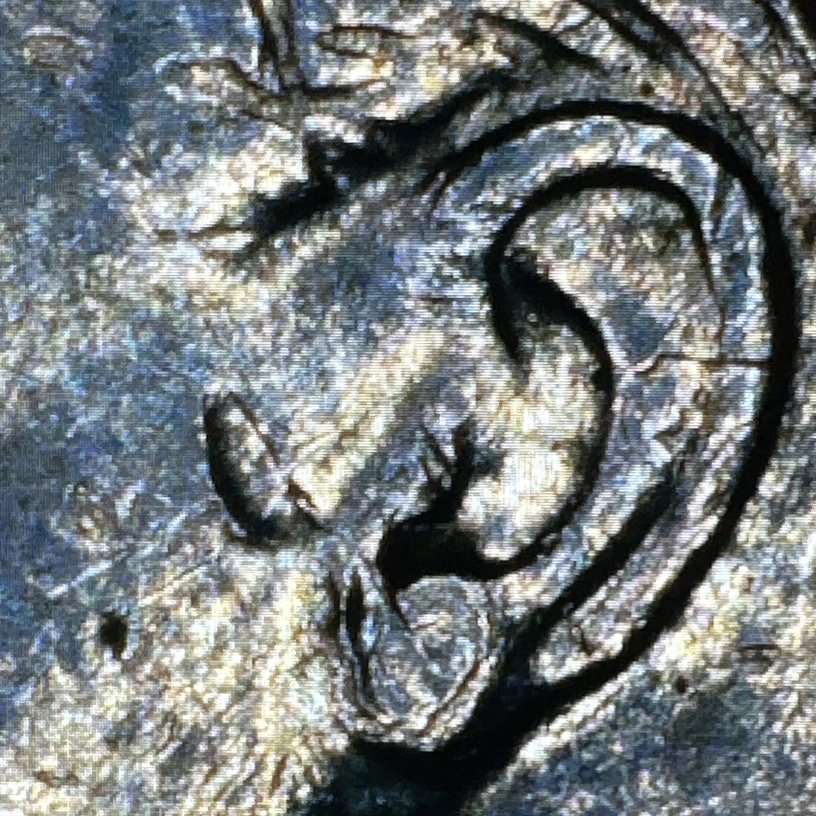 Picture 6 of 23