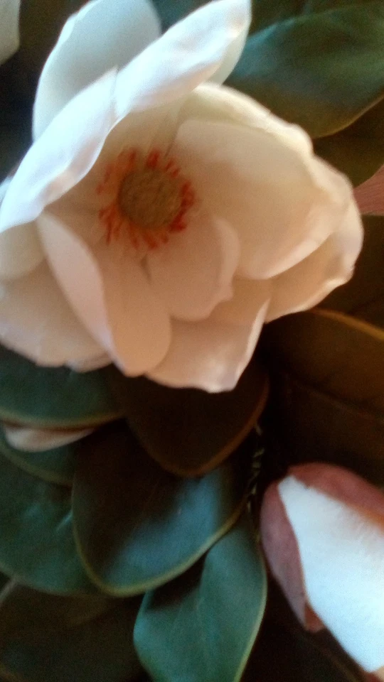 Magnolia Wreath By Frontgate...... Stunning Full Blossoms And Buds - Image 4 of 4