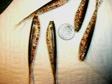 60-3"bass-crappie-walleye minnow grubs-jigs-drop shot-stinger-split tails-flukes