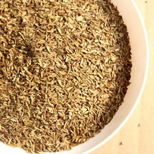 Pyrethrum Seeds Mix Perennial Flower Natural Mosquito Repellent Plants Seeds UK