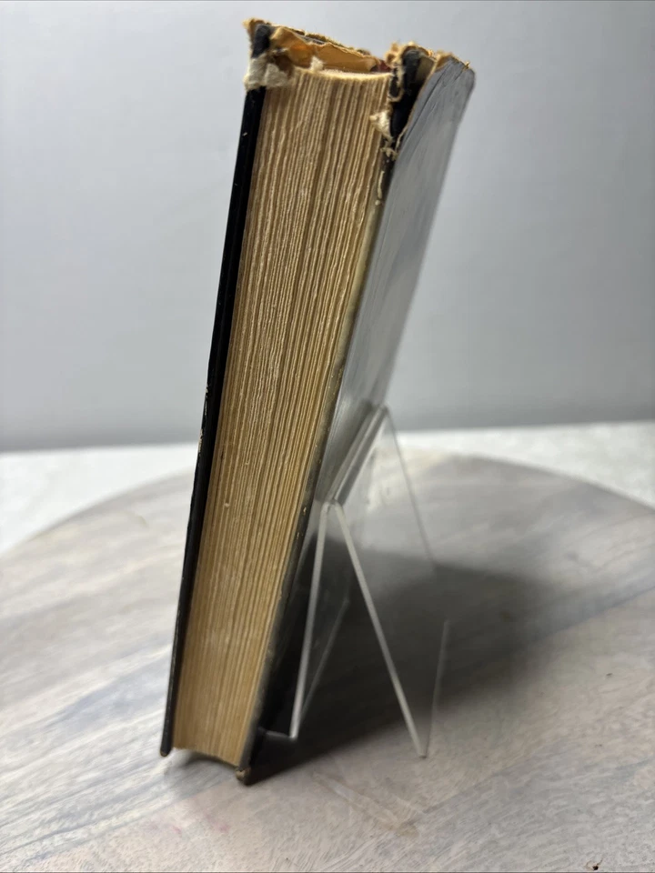 If There Be Thorns Dust Jacket w/ Petals on the Wind Book – V.C. Andrews Mixed C - Image 4 of 4