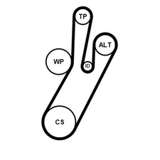 Keilrippenriemensatz CONTINENTAL CTAM 7PK1240K1 für RENAULT TWINGO 3 TCe 110 LPG