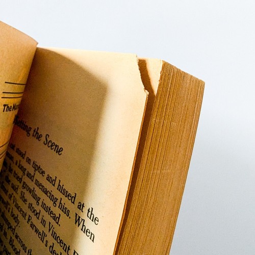 Renewable Virgin, Fourth Wall, But He Was Already Dead Barbara Paul 3 Book Lot - Picture 9 of 15