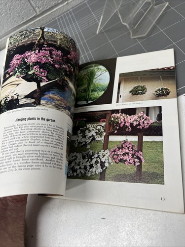 VINTAGE BOOK SUNSET IDEAS FOR HANGING GARDENS RETRO 1974 FLOWERS - Picture 20 of 21