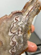 Mexican Laguna Crazy Lace Agate Slab Cabbing Carving Chakra Reiki