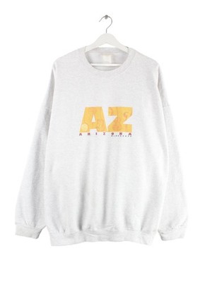 Hanes 90s Vintage Arizona Print Sweater Grau XXL Herren