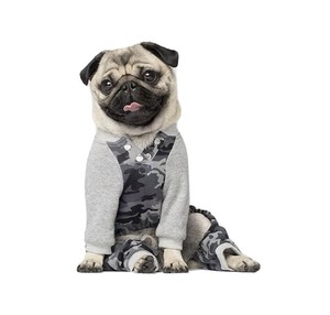 dog sweatsuit