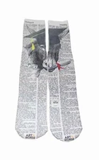 Artnwordz Apparel The Smart Ass Dictionary Pop Art Unisex Socks