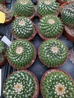 Foto 7 di 8