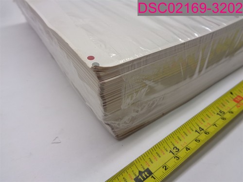 Rough Edges; 500 Sheets- LM832 Laser/Injet Blank Check Paper, Middle Format - Picture 6 of 7