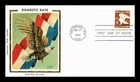 Dr Jim Stamps Colorano Silk Cachet First Day Cover Domestic Mail C Rate Eagle