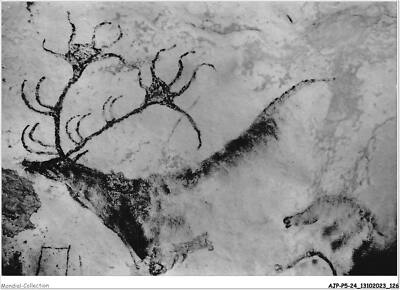 AJPP5-24-0593 - MONTIGNAC-SUR-VEZERE - Grotte de Lascaux - axia diverticulum