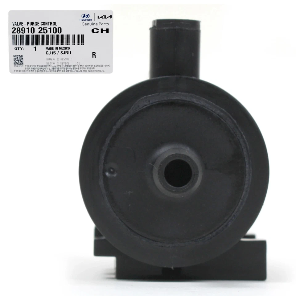 Válvula de control de purga GENUINA para Hyundai Kia 2006-2014 2,0 L 2,4 L 2891025100 Foto 3 de 4