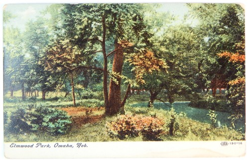 1908 ELMWOOD PARK OMAHA NEBRASKA POSTAL FOTO PUBLICADA LITOGRAFÍA FLORES TINTADAS - Imagen 2 de 3