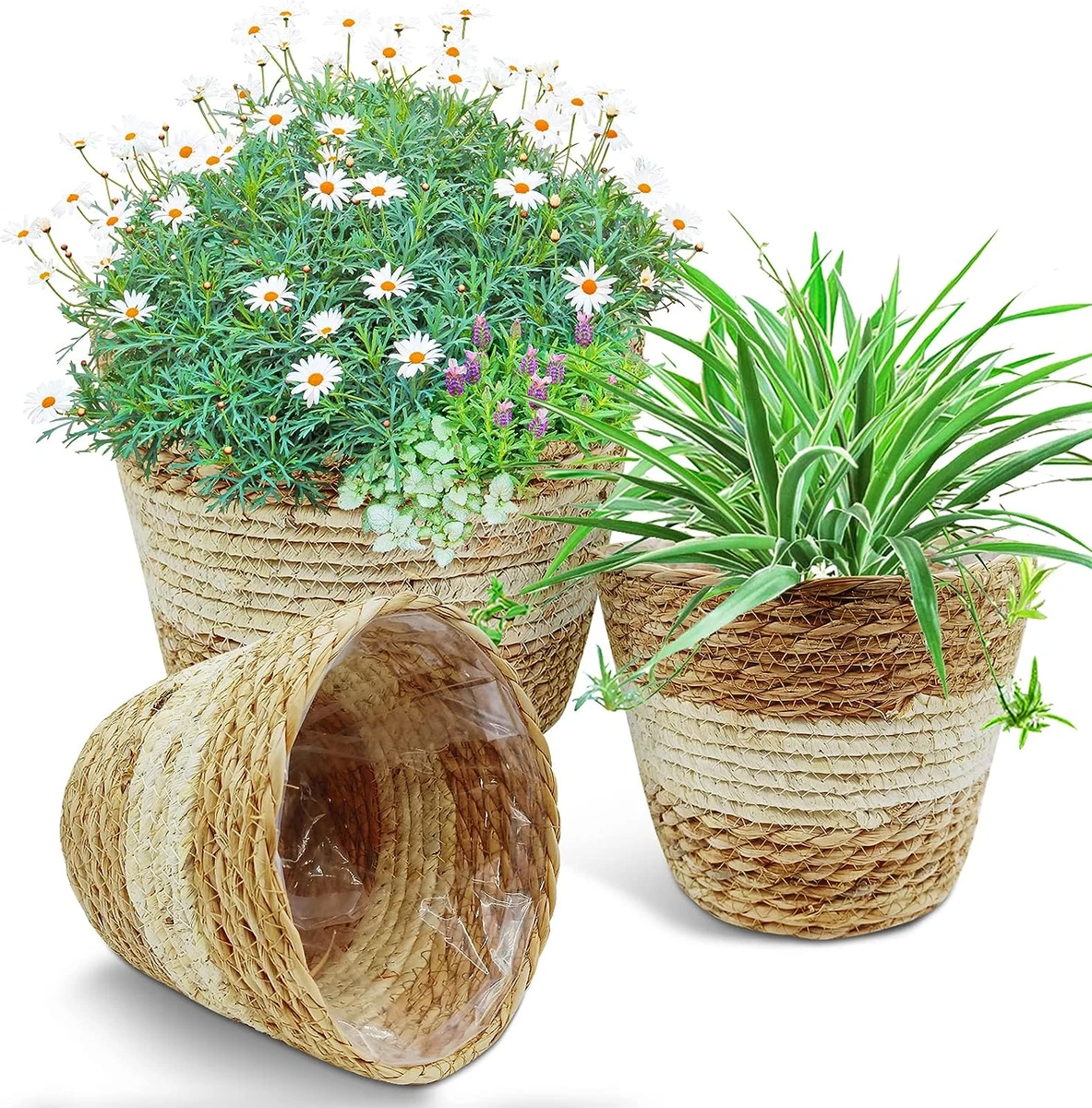 3Pcs Woven Planter Basket with Liner 3 Sizes Natural Seagrass