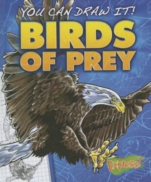 Birds of Prey by Jon Eppard 9781626170964 NEW Free UK Delivery - Image 2