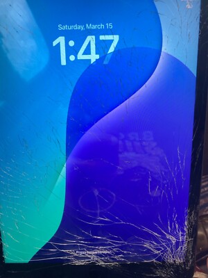 Apple iPad (9th Generation) A2602 64 GB, Wi-Fi, 10.2 in - Space Gray