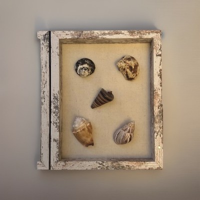 Unique Handcrafted Sea Shell Shadow Box Hand Collected Shells From Sanibel FL.