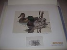 Picture 2 of 2