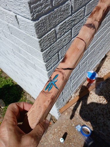 Walking Stick Cane Customized Personalized in nashville - Picture 8 of 16