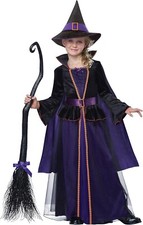 California Costumes Hocus Pocus Girl's Costume, Black/Purple, XL 12-14