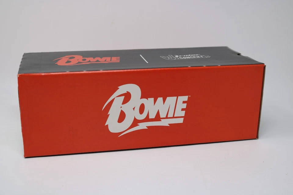 Sandálias DAVID BOWIE Rider Grendene concertos collab chinelos tamanho 10 EUA HTF - Imagem 2 de 4