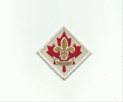 Gold & Red Mylar TWO 2013  SCOUT SUNDAY Participation Patches