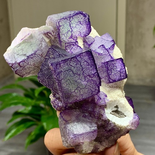 1,27 Pfund natürliches lila "QR-Code" Fluorit Cluster Kristall Mineral Probe/Guizhou - Bild 16 von 20