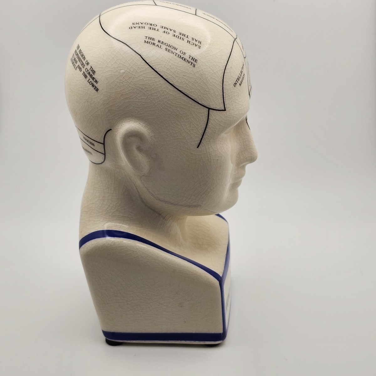 Phrenology Head Statue Map of Brain Porcelain Victorian Deco