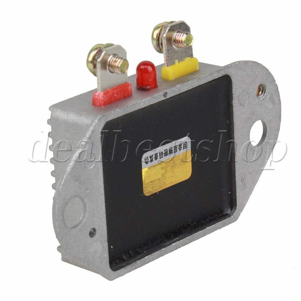 Electronic Generator with Light Support Automobile Universal Regulator 14V 1000W Foto 4 de 4