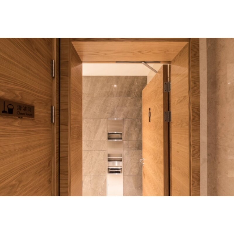 Geze boxer F3 door closer with rail, silver, EN 3, for 130 kg