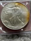 1999 American Silver Eagle - Toning around edges