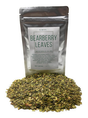 Bearberry Leaves (Kinnikinnick) - Cut, Dried Arctostaphylos Uva-Ursi Leaves - Ne