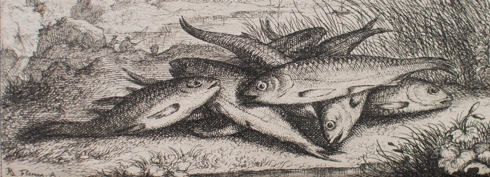 Albert Flamen Fische am Seeufer Tierstudie Barock plattensign Kupferstich 17 Jhd - Bild 3 von 4