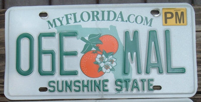 FLORIDA Double orange PM Permanent license plate Your choice FONT change