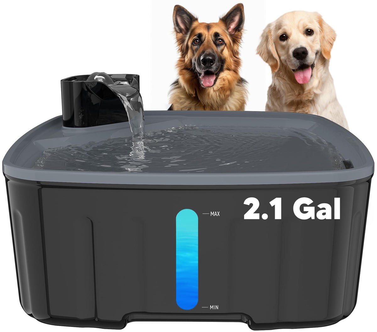 Dog Water Fountain for Large Dogs, Large Dog Water
