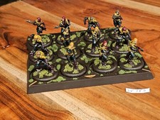 CMON ASOIAF A Song of Ice and Fire Free Folk Spearwives Painted x12 JV183