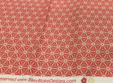 RILEY BLAKE DESIGNS - SIDEWALKS C3485 BY OCTOBER AFTERNOON 2013 - 3/4 YARD