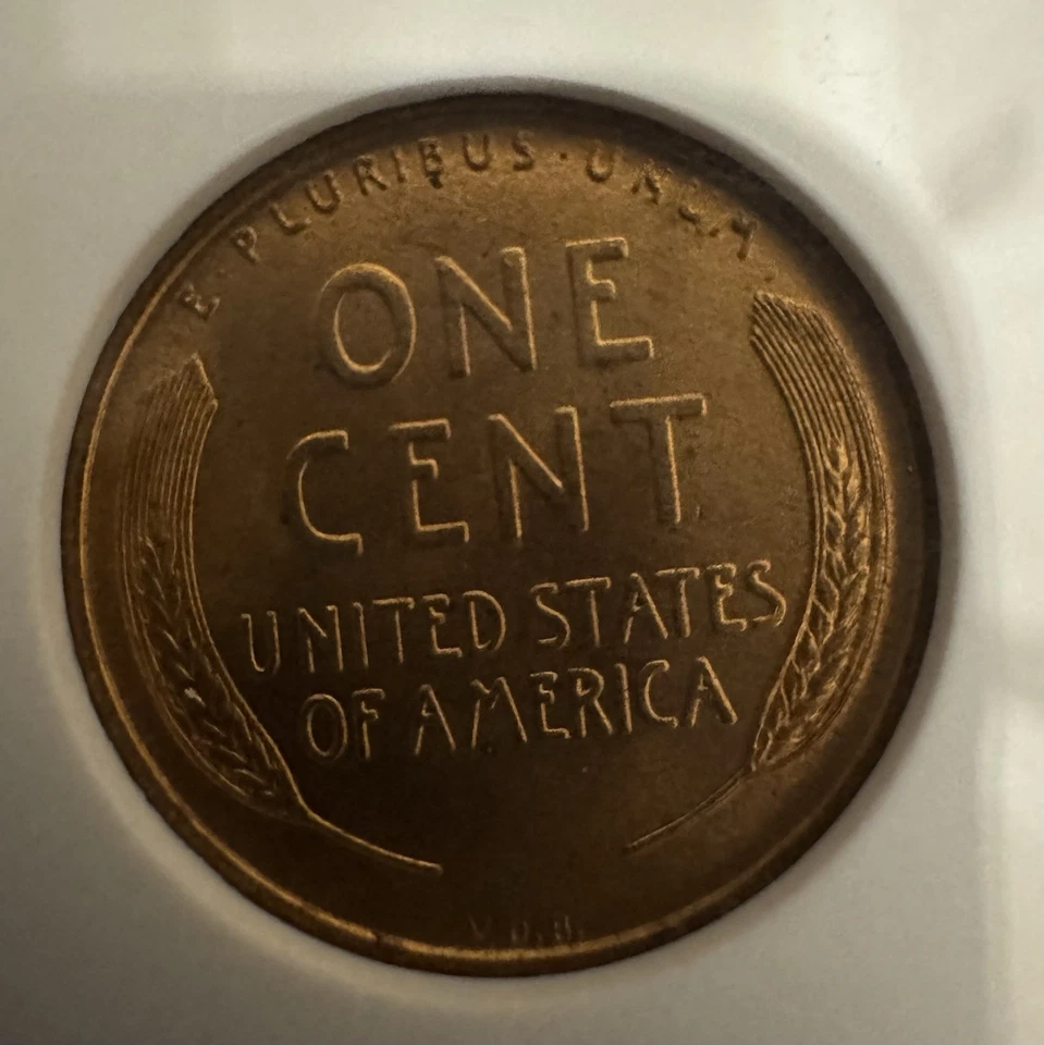 1909 VDB 1 Cent MS 66 Red (NGC) - Image 2 of 4