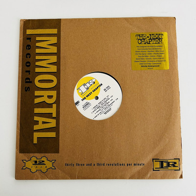 the next chapter IMMORTAL LP Blue Green Dilated Peoples Phil The Agony
