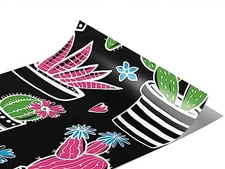 Rwraps - Cacti C1-RDIG-CT-008--G