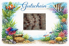 Gutschein Tubifex 5-100x90ml Naturfutter für Zierfische