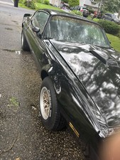 1979 Pontiac Trans Am for Sale