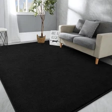 Large Area Rugs for Bedroom Living Room 4x6 Black Solid Fluffy Super Soft Mem...